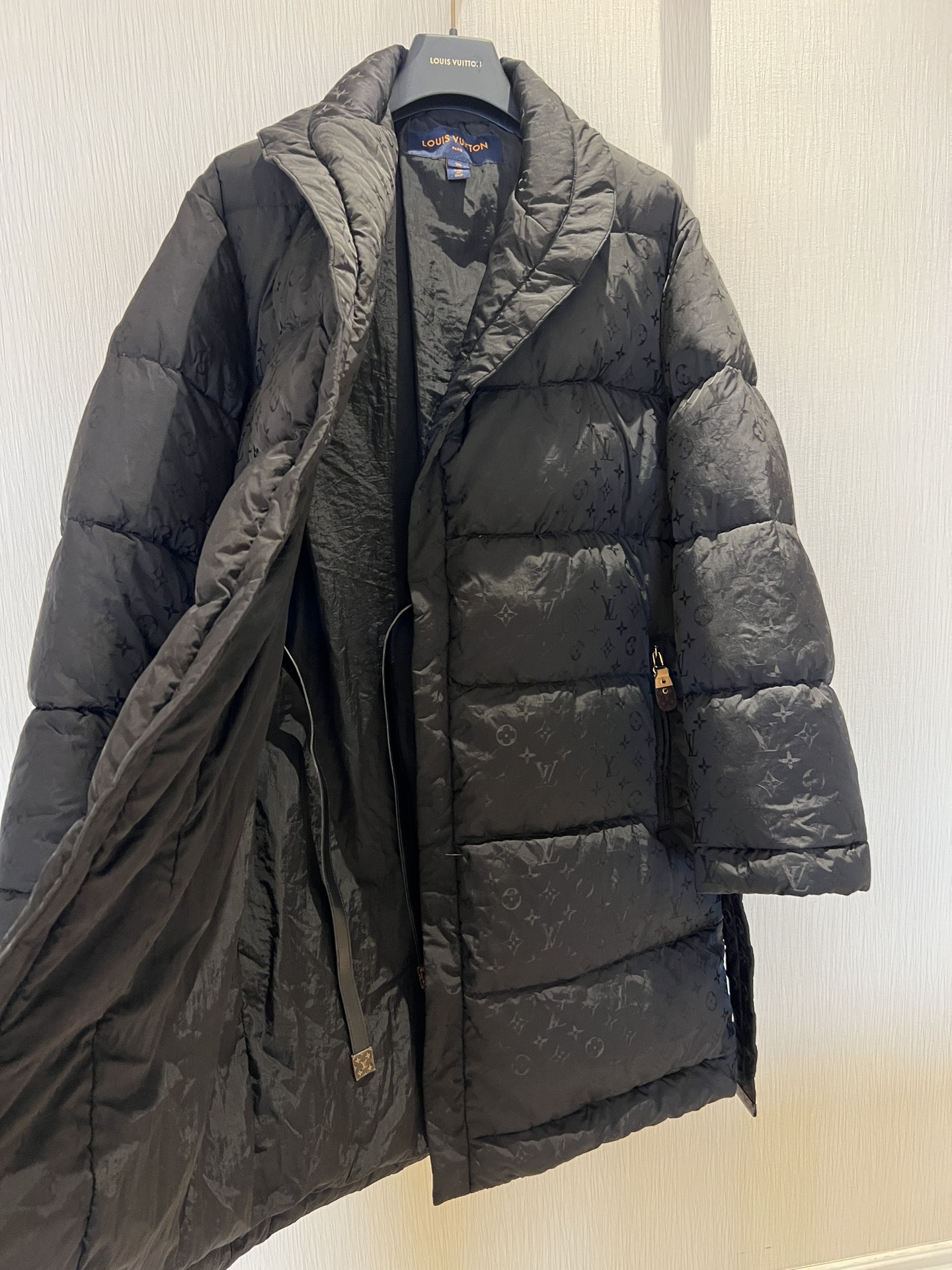 Louis Vuitton Down Jackets